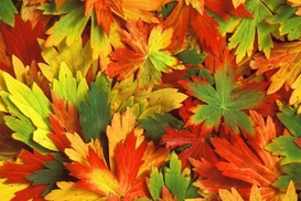 Прогноз погоды на 19 октября