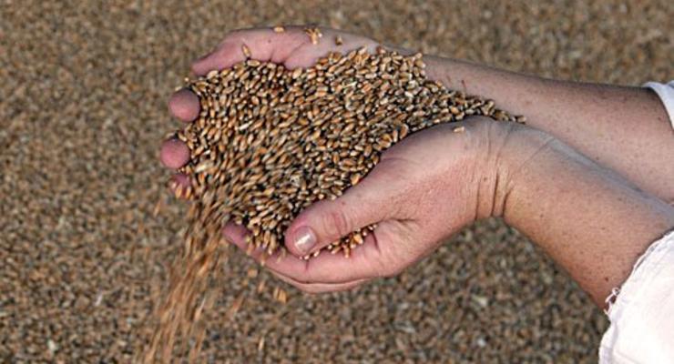 Запасы зерна в Украине сократились на 24%