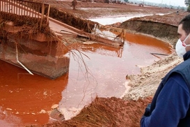 Венгерские химикаты окажутся в Украине через 2 недели