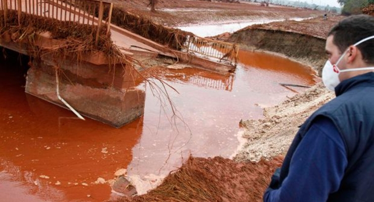 Венгерские химикаты окажутся в Украине через 2 недели