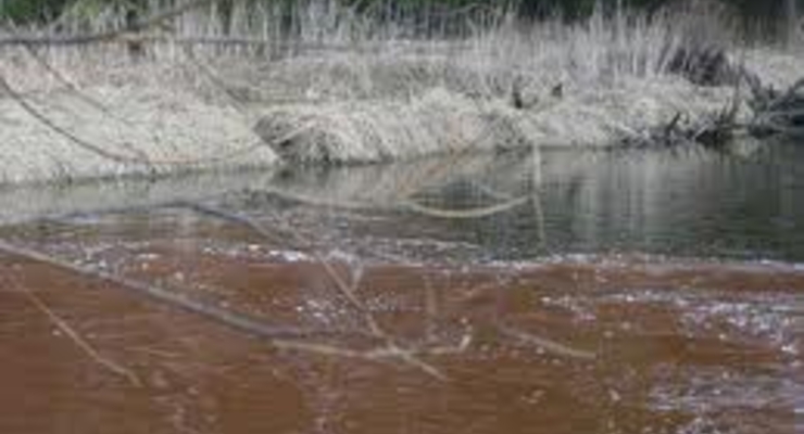 Токсические отходы попали в Дунай