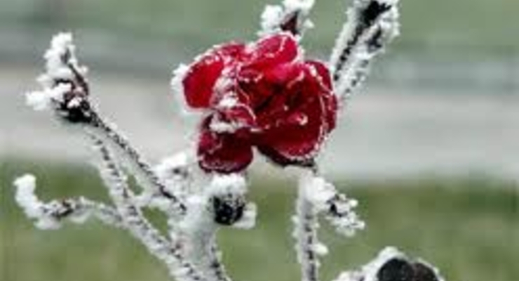 Скоро в Украине будет – 5