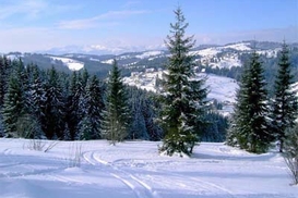 В госбюджете-2011 предусмотрят полмиллиарда долларов на Олимпиаду в Карпатах