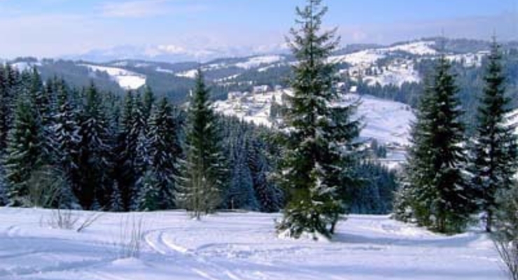 В госбюджете-2011 предусмотрят полмиллиарда долларов на Олимпиаду в Карпатах