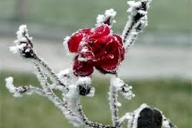 В середине октября потеплеет до +20