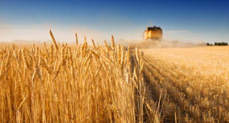 Азаров: Урожай зерновых составил 39 млн тонн