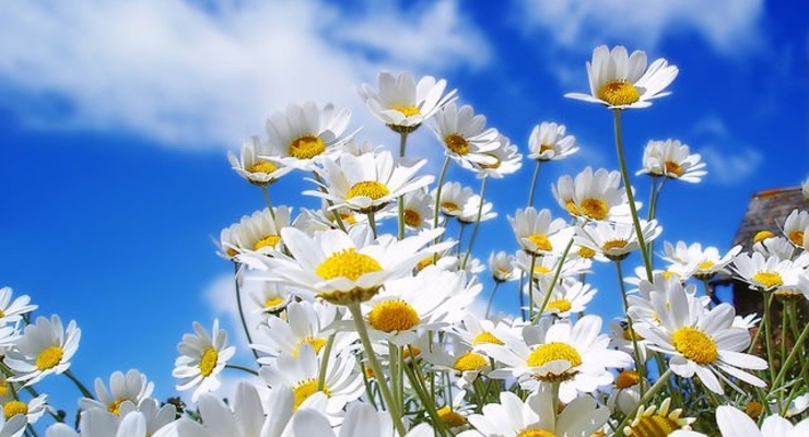 Прогноз погоды на 22 сентября