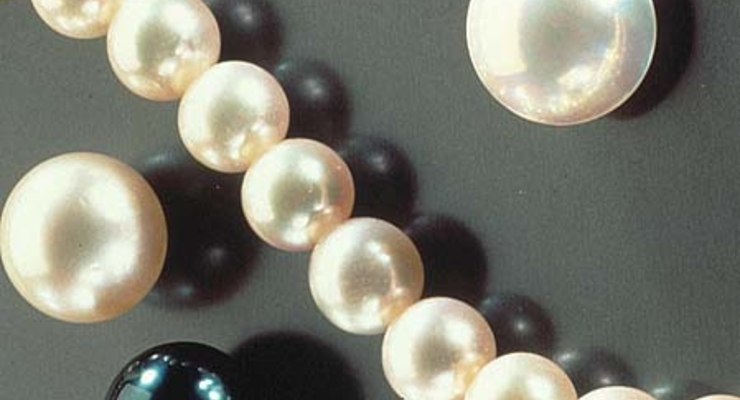 Мэр Днепропетровска подарит женщинам ожерелья из жемчуга