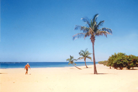 МАУ открывает авиарейс Киев-Гоа