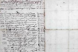 В Голландии нашли первую в мире акцию