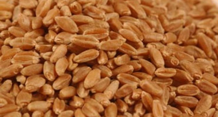 Азаров: Правительство не будет вводить квоты на экспорт зерна