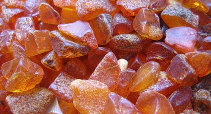 Добычу янтаря будет контролировать государство