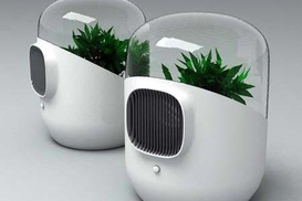 В Гонконге продают чистый воздух