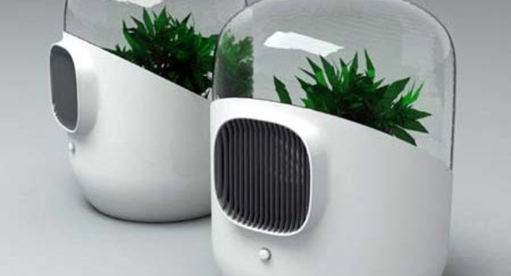 В Гонконге продают чистый воздух