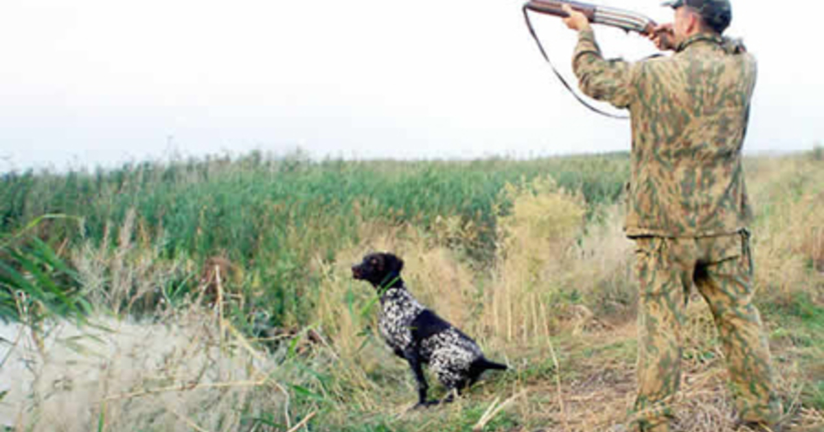запрет на охоту в украине