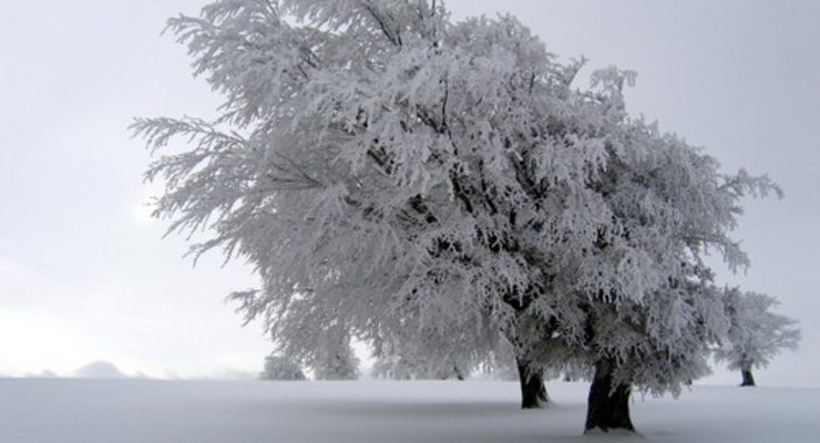 New Europe: Украину ждет холодная зима