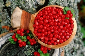 Ягоды продлевают жизнь