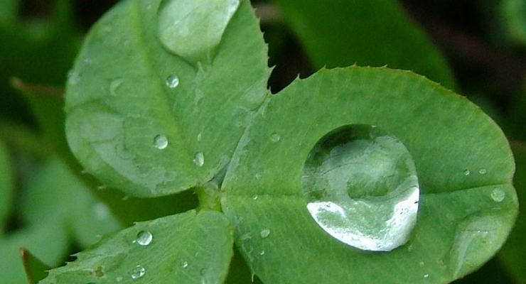 Прогноз погоды на четверг, 26 августа