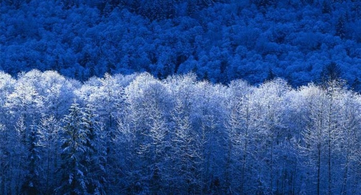 Какой будет зима 2010-2011?