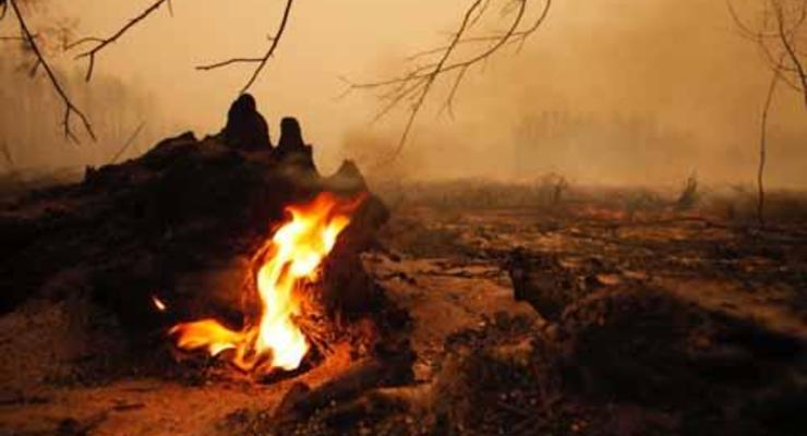 В Украине ежедневно происходит 250 пожаров