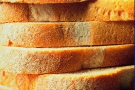 Киев обещает удержать цены на хлеб