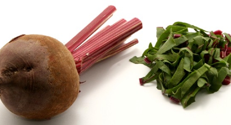 В США запретили выращивать ГМО-свеклу