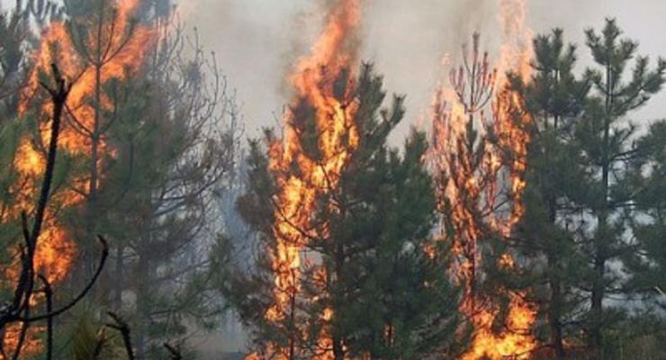 Назван самый пожароопасный регион Украины
