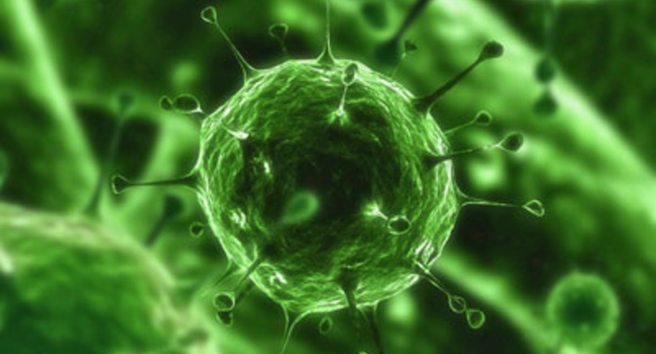 В Нежине неизвестный вирус убил пятерых детей