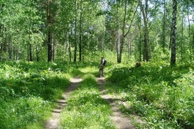 За отдых в лесу - штраф 1190 гривен