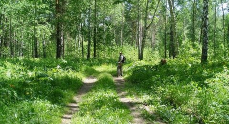 За отдых в лесу - штраф 1190 гривен