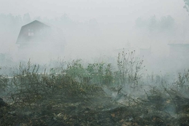 Убытки от жары в России превысили 15 млрд долларов