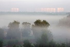 Москва все еще в дыму: Авиасообщение нарушено