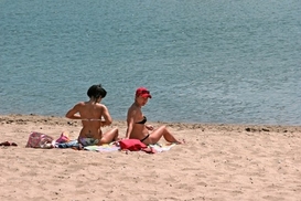 Из-за жары в Киеве расплодились крысы