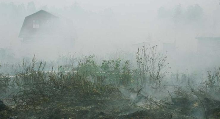 Под Киевом горело 2,5 га травяного настила