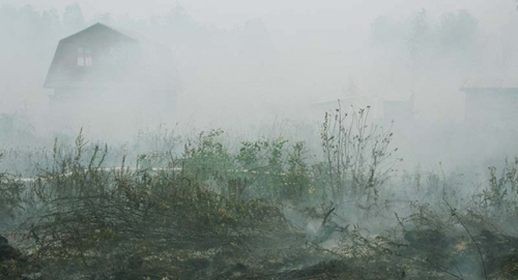 МЧС: Под Киевом ничего не горит