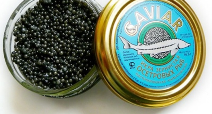 Черная икра вновь появится на прилавках магазинов