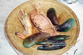 В Черном море нельзя ловить мидий и креветок