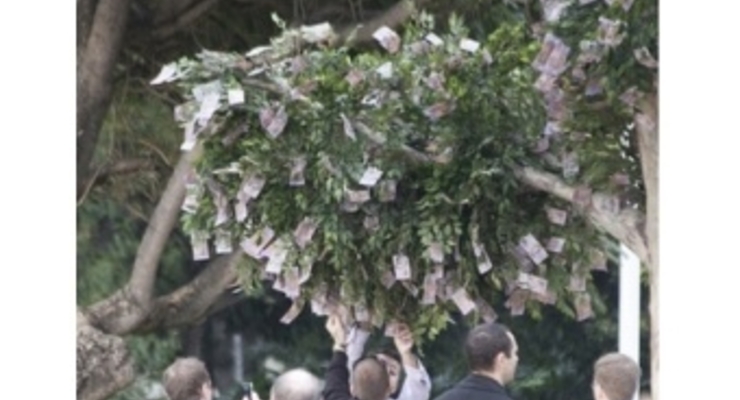 В Сиднее появилось денежное дерево