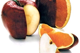 Чем опасно использовать ГМО?