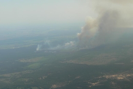 Под Киевом горят леса: фоторепортаж