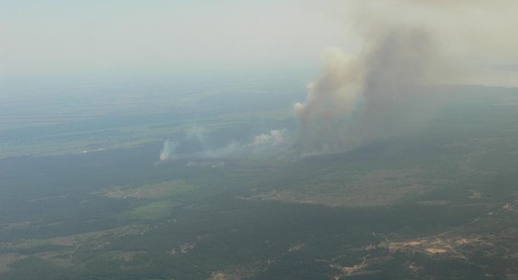 Под Киевом горят леса: фоторепортаж