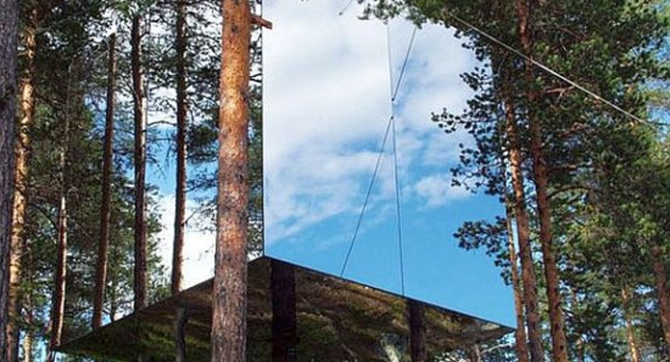 В Швеции открывается концептуальный отель на дереве