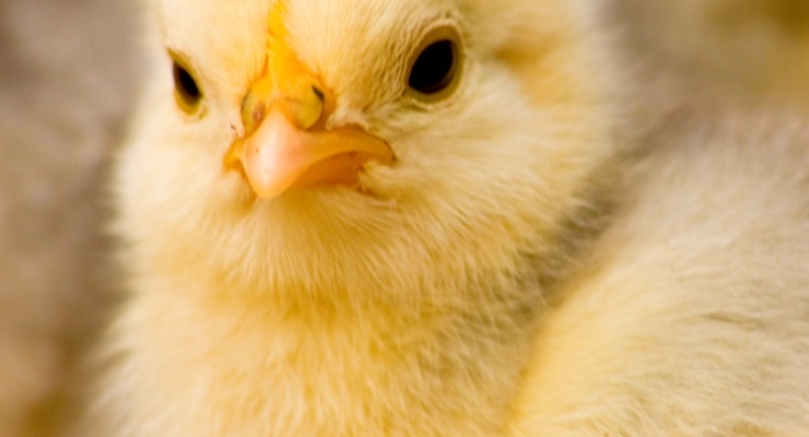 Британские ученые ответили на главный вопрос человечества