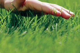 Цены на землю в регионах падают