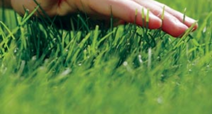 Цены на землю в регионах падают