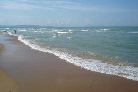 Что за пятна в Черном море?