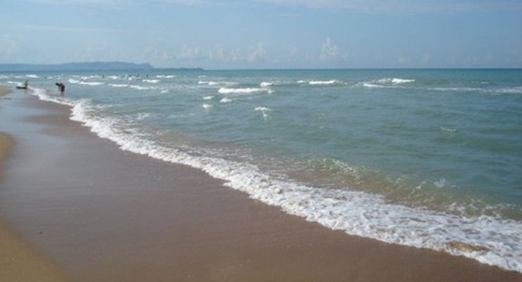 Что за пятна в Черном море?