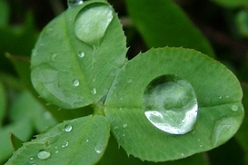 Погода на 13 июля