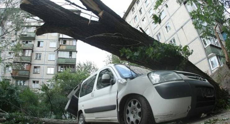 Ураган сломал 400 деревьев в Киеве