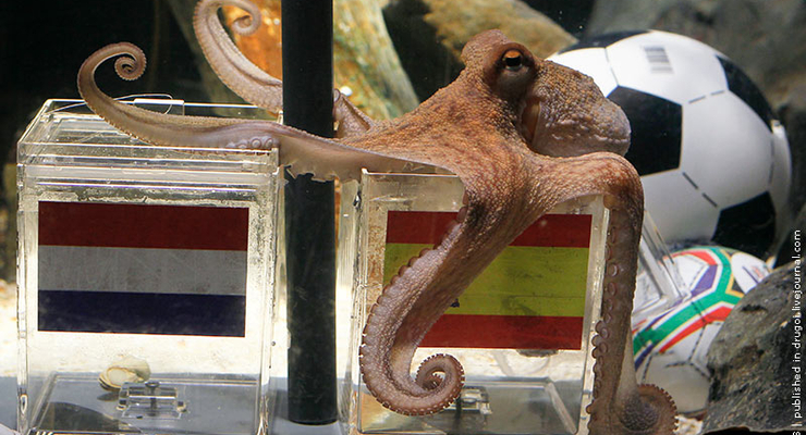 Осьминог Пауль предсказал победу Испании в ЧМ-2010